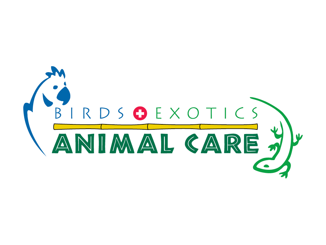 bsc-portfolio-logo-21