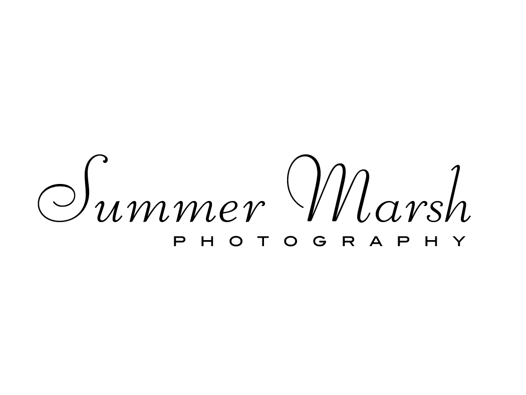 bsc-portfolio-logo-25